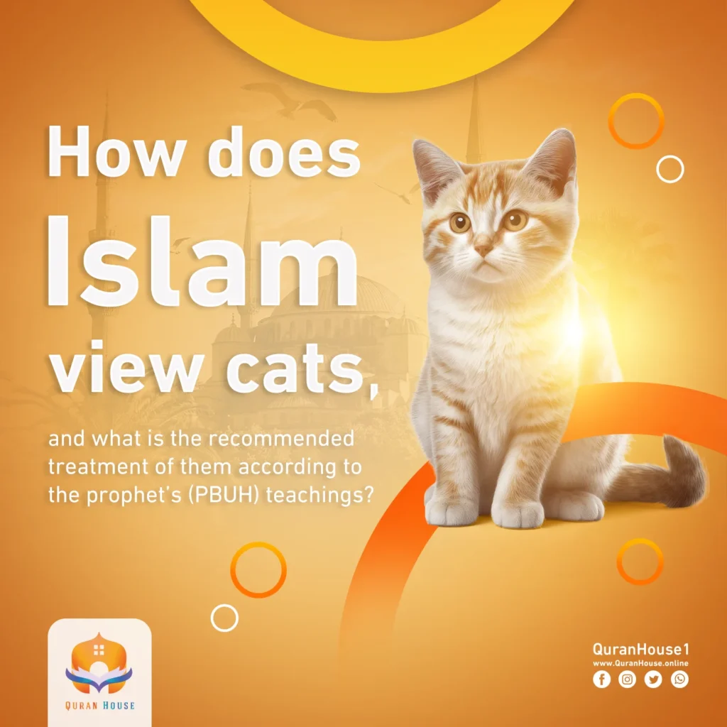 can a cat touch the quran