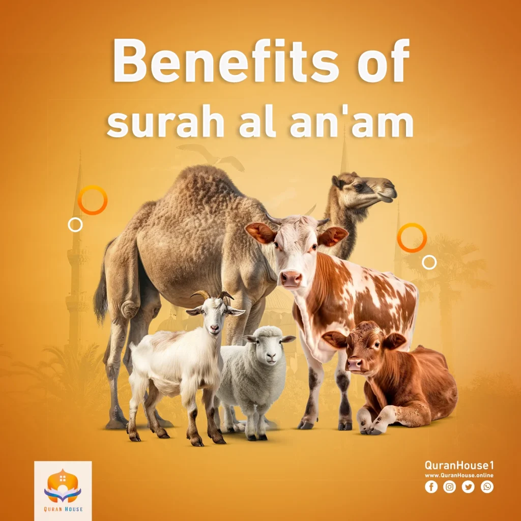 benefits of surah al an'am