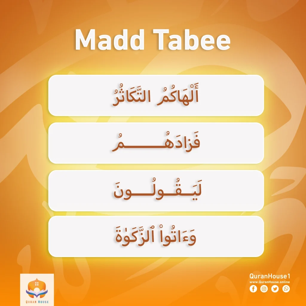 Madd Tabee